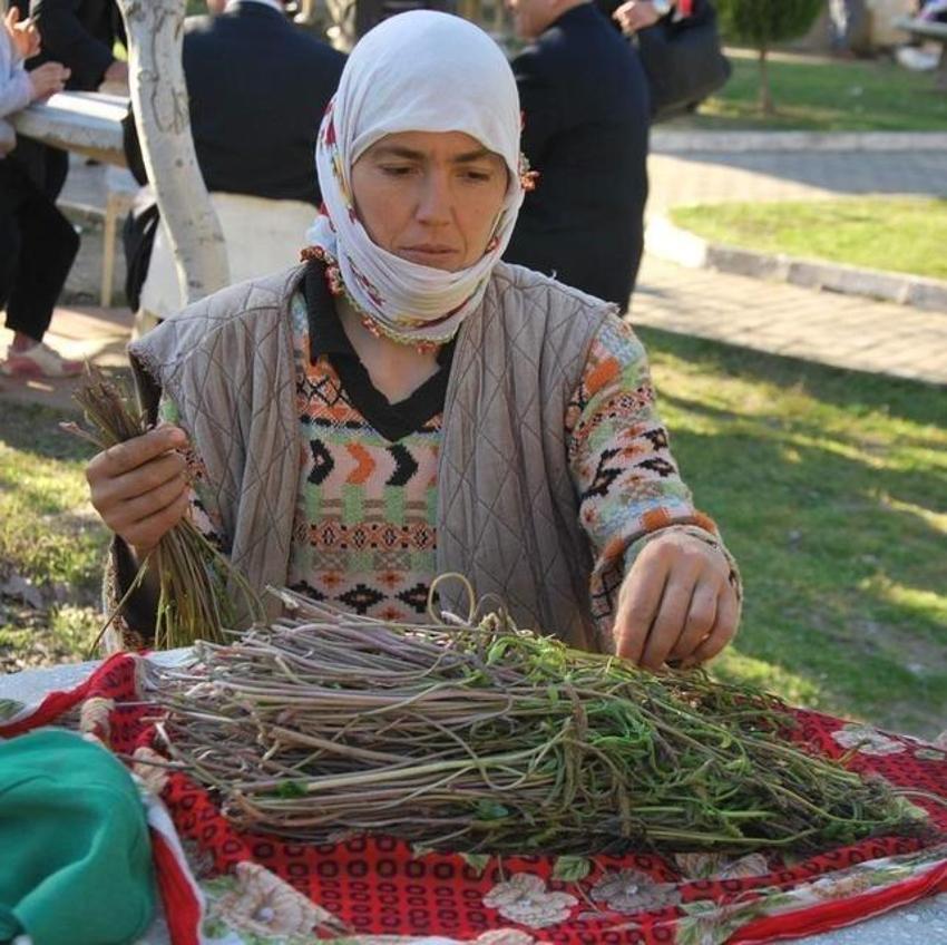 İşsizken bağını 100 liraya satmaya başladı! Bu işin maliyeti yok: Doğada kendiliğinden yetişiyor!