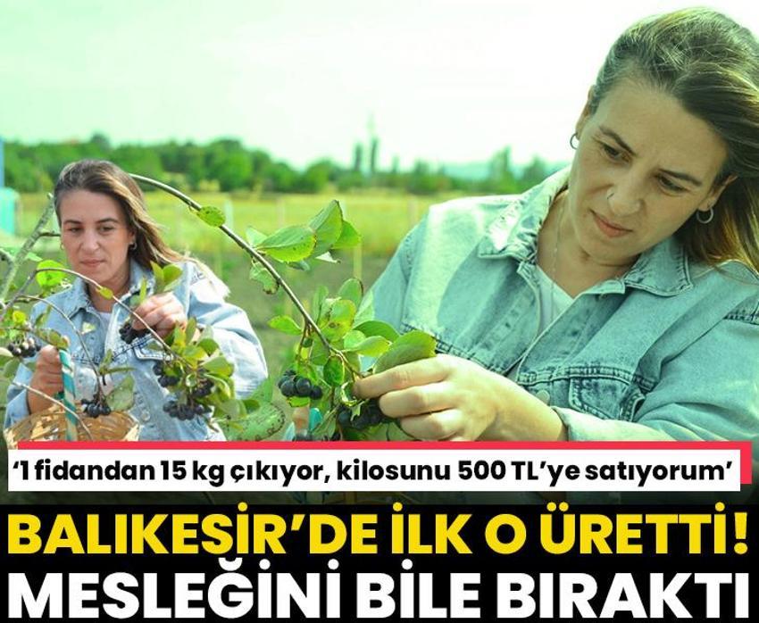 Balıkesir'de ilk o üretti, mesleği bile bıraktı! Genç kadın girişimci kilosunu 500 TL'ye satıyor!
