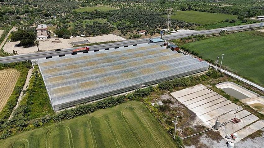 Zayıflamak isterken işinin patronu oldu! Serada üretip dükkanında satıyor