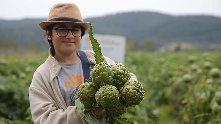 Boş tarlaya tutmaz diye ekti, şimdi köylülerin gelir kaynağı oldu! Hasat başladı, 1 günde tonlarca üretiyor