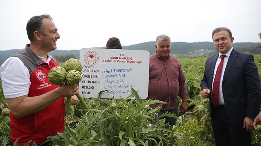 Boş tarlaya tutmaz diye ekti, şimdi köylülerin gelir kaynağı oldu! Hasat başladı, 1 günde tonlarca üretiyor