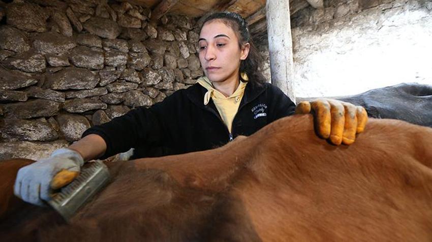 Köyünde, devlet desteğiyle bir ilke imza attı! Mezun oldu ama memurluk peşinde koşmadı