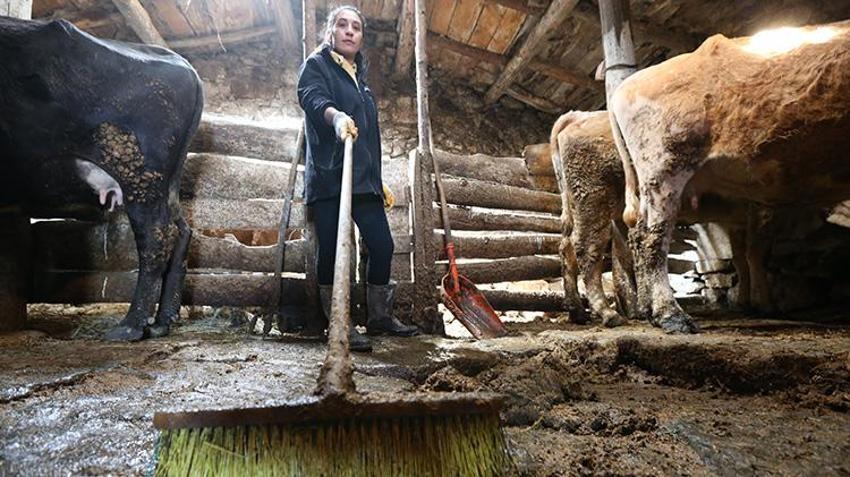 Köyünde, devlet desteğiyle bir ilke imza attı! Mezun oldu ama memurluk peşinde koşmadı