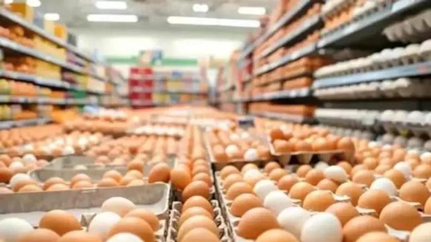 Yumurta fiyatlarında dikkat çeken değişim! Nedeni belli oldu