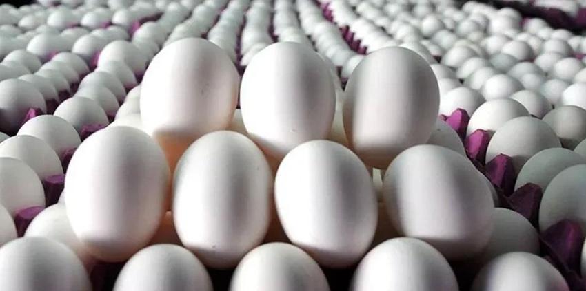 Yumurta fiyatlarında dikkat çeken değişim! Nedeni belli oldu