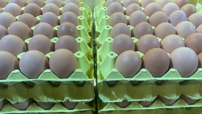 Yumurta fiyatlarında dikkat çeken değişim! Nedeni belli oldu