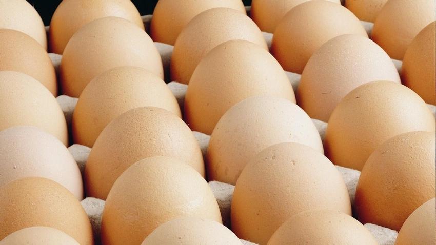 Yumurta fiyatlarında dikkat çeken değişim! Nedeni belli oldu