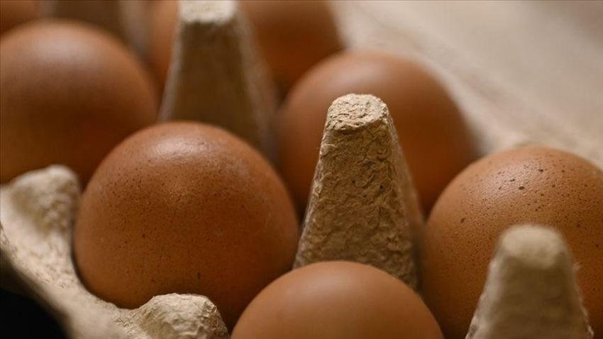 Yumurta fiyatlarında dikkat çeken değişim! Nedeni belli oldu