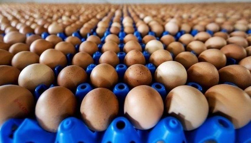 Yumurta fiyatlarında dikkat çeken değişim! Nedeni belli oldu