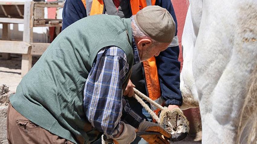 Yaşıtları emekliliğin keyfini sürerken o köy köy dolaşıyor! Sivaslı nalbant, son temsilcisi olduğu mesleğini koruyor