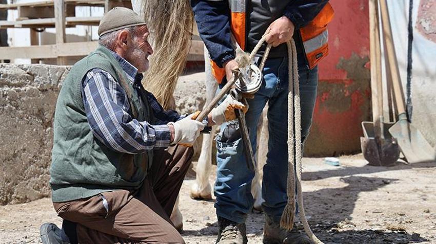 Yaşıtları emekliliğin keyfini sürerken o köy köy dolaşıyor! Sivaslı nalbant, son temsilcisi olduğu mesleğini koruyor