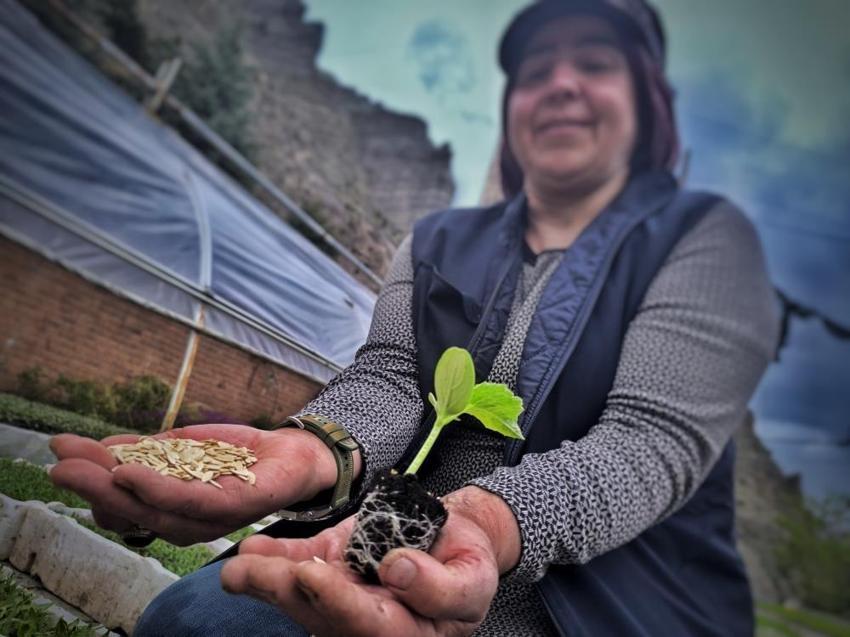 Avrupa Birliği destekledi, 3 kuzen bölgenin en büyüğü oldu! 1 milyondan fazla üretip 81 ilde gönderiyor