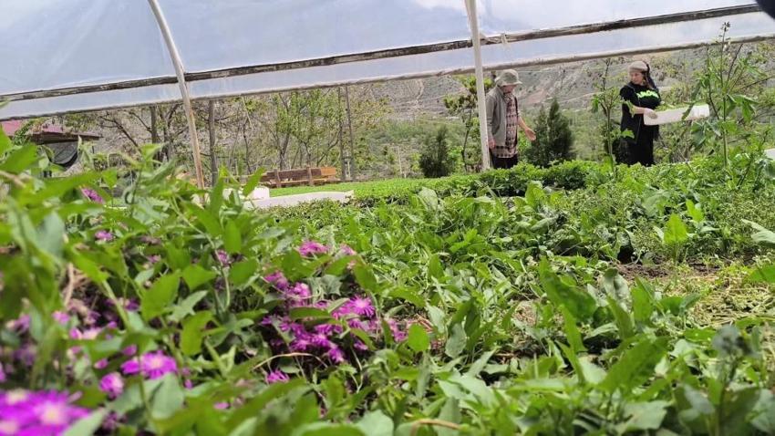 Avrupa Birliği destekledi, 3 kuzen bölgenin en büyüğü oldu! 1 milyondan fazla üretip 81 ilde gönderiyor