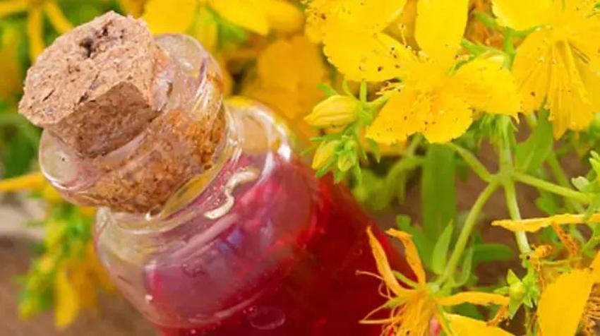 Mucize krem kapanmayan yaraları iyileştiriyor! İki günde etkisini gösteriyor: Kantaron yağı, propolis, bal, zeytinyağı