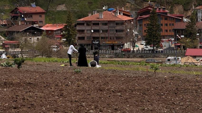Arap turistler, tarlada mısır eken vatandaşlara hurma dağıttı