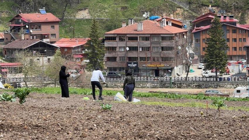 Arap turistler, tarlada mısır eken vatandaşlara hurma dağıttı