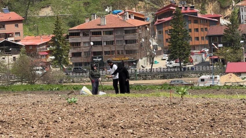 Arap turistler, tarlada mısır eken vatandaşlara hurma dağıttı