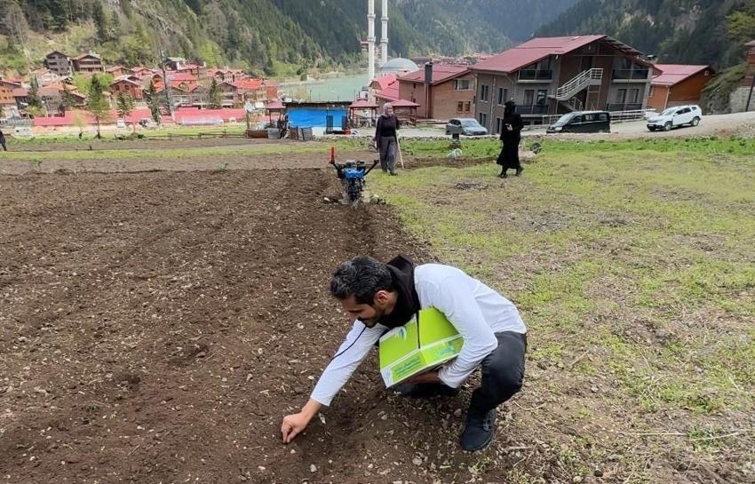 Arap turistler, tarlada mısır eken vatandaşlara hurma dağıttı