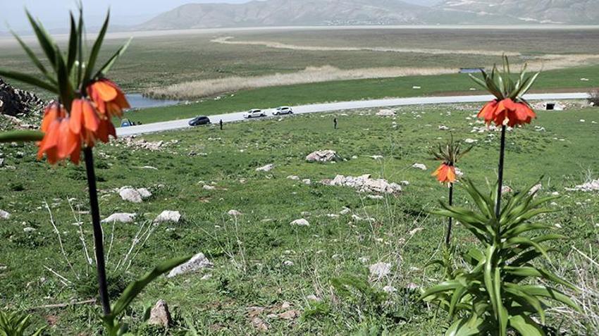 Hakkari'de nöbet başladı! Onlar için yoğun güvenlik önlemleri alındı, koparmanın cezası yarım milyon TL