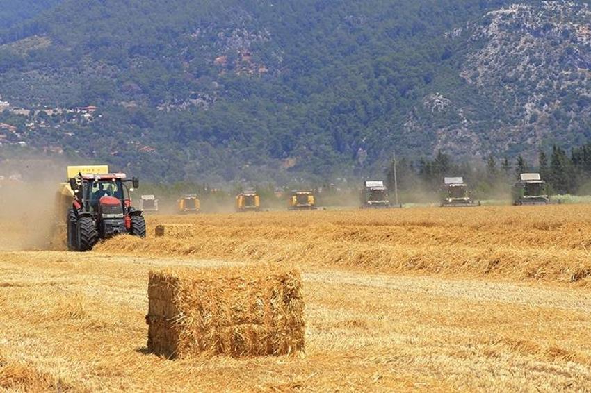 Türkiye'de hasat sonrası ilk destek! Arazisi boş kalana veriliyor: Yüzde 50'sini devlet veriyor