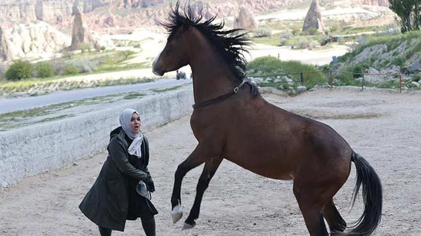 Almanya'da yaşayan kadın yapılamaz denileni yapıyor! İki ayda bir sadece onun için geliyor