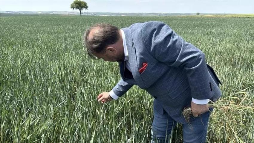 Tarihin en büyük kuraklığı kapıda! Birkaç gün içerisinde belli olacak: Yüzde 80 azalabilir