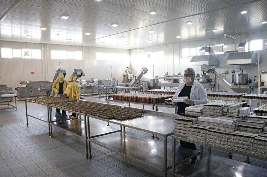 Glütensiz tatlı üretti, ABD'de 15 gün içinde tüketildi! Çanakkaleli iş kadını fabrika kurdu, dünyaya satıyor