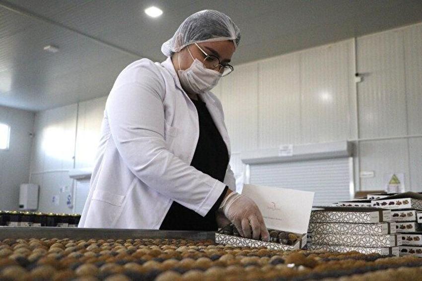 Glütensiz tatlı üretti, ABD'de 15 gün içinde tüketildi! Çanakkaleli iş kadını fabrika kurdu, dünyaya satıyor