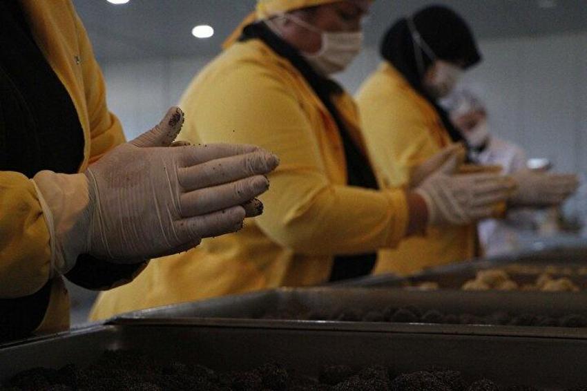 Glütensiz tatlı üretti, ABD'de 15 gün içinde tüketildi! Çanakkaleli iş kadını fabrika kurdu, dünyaya satıyor