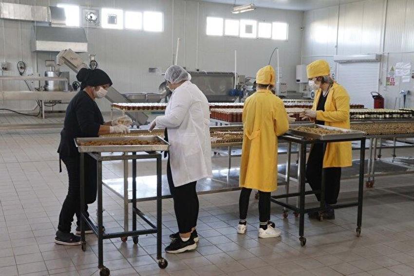 Glütensiz tatlı üretti, ABD'de 15 gün içinde tüketildi! Çanakkaleli iş kadını fabrika kurdu, dünyaya satıyor