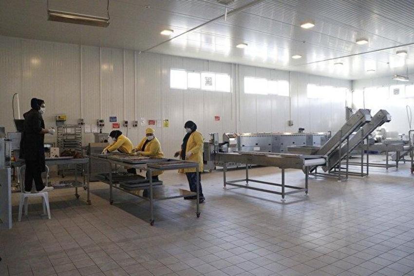 Glütensiz tatlı üretti, ABD'de 15 gün içinde tüketildi! Çanakkaleli iş kadını fabrika kurdu, dünyaya satıyor