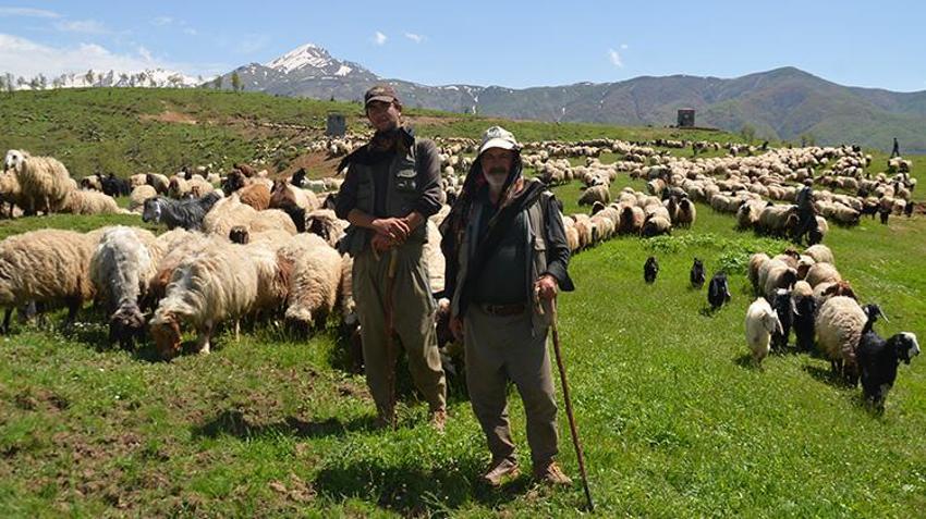 Diyarbakır ve Mardin'den yola çıktılar! 30 günlük zorlu yolculuktan sonra hedeflerine ulaştılar