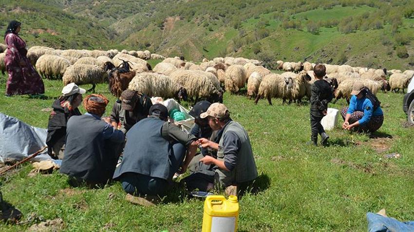 Diyarbakır ve Mardin'den yola çıktılar! 30 günlük zorlu yolculuktan sonra hedeflerine ulaştılar