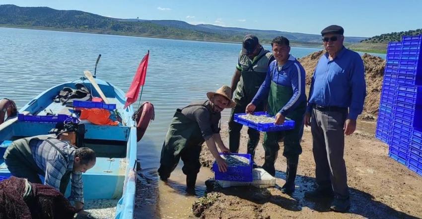 Yozgat'ın hazinesi Avrupa'ya cips oluyor! Çekerek Barajı'ndan ihracat atağı!