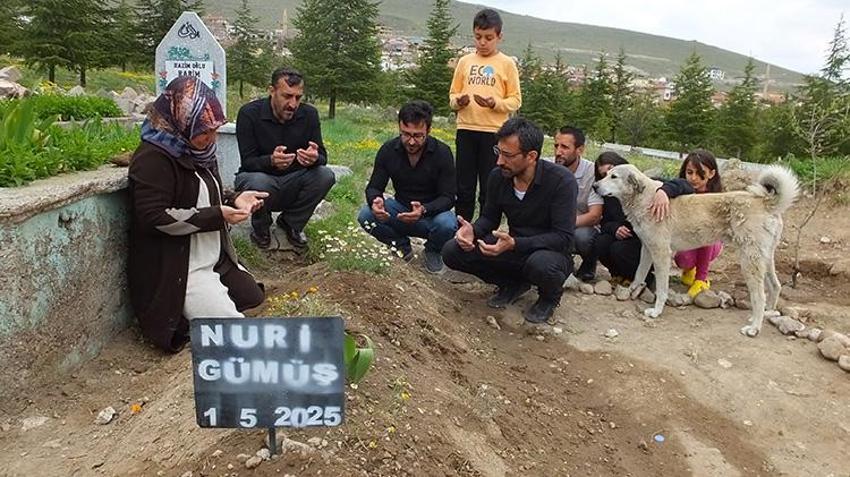 Nevşehir'de duygulandıran vefa! Sahibi ölen 'Garip' isimli köpek mezarın başından ayrılmıyor!