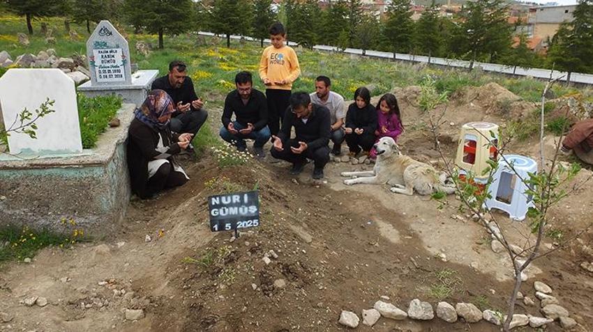 Nevşehir'de duygulandıran vefa! Sahibi ölen 'Garip' isimli köpek mezarın başından ayrılmıyor!