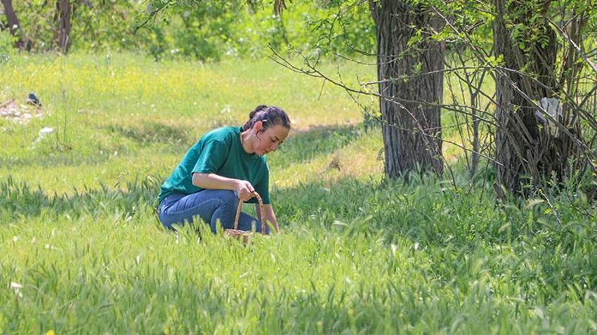 Diyarbakır'ın pizzası işte böyle olur! Kenger pizzaya da girdi