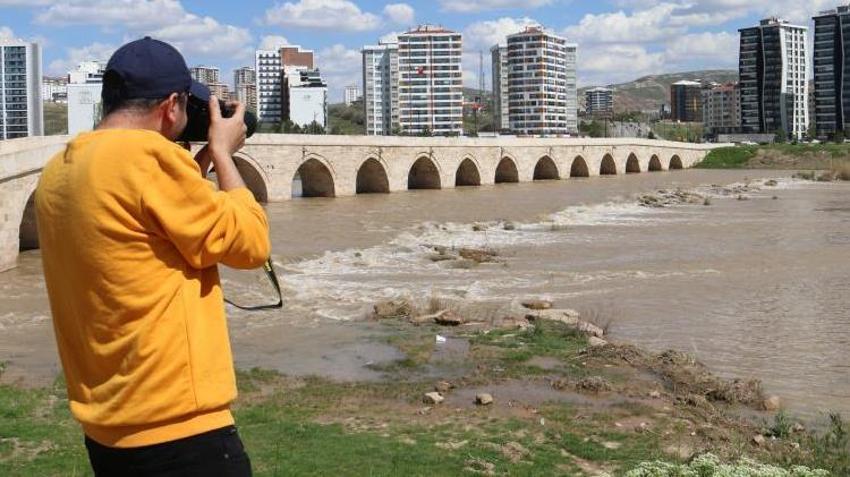 Dünya onu arıyor, Sivas'ta tesadüfen yakalandı! Kuş sandı, yakından bakınca gözlerine inanamadı