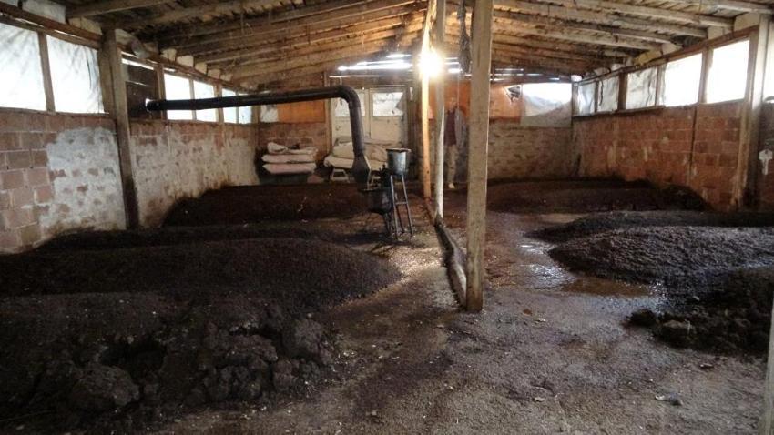 Malatyalı çiftçi dünyaya yeni yöntem hediye etti! Yüzde 30 verim artışı var: Litresi 150 TL