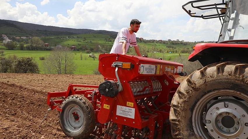 Karabuğday toprağı sevdi! Ordu'nun atıl arazileri bereketleniyor