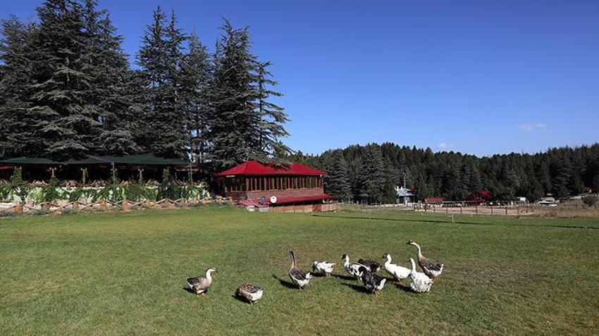 Depremin en büyük darbesini alan şehir yeniden dirildi! Hüzün ve keder yerini güzel günlere bıraktı