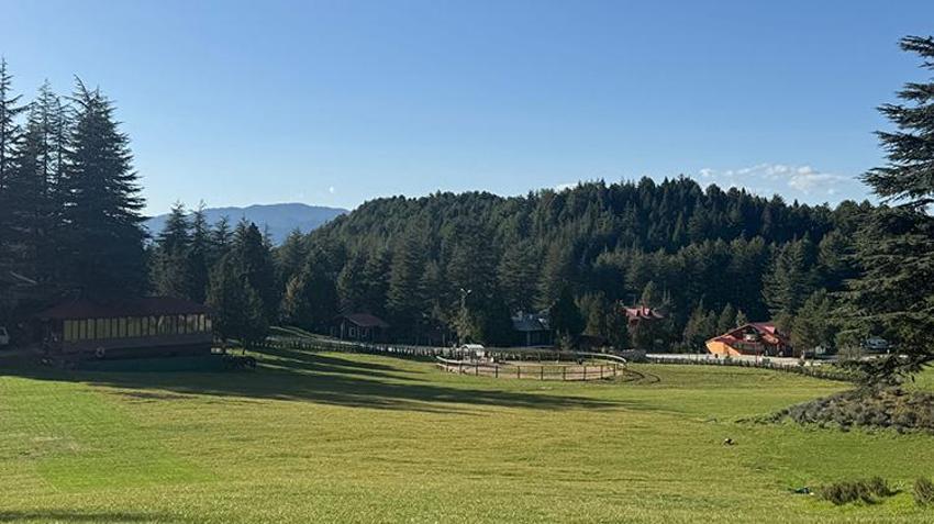 Depremin en büyük darbesini alan şehir yeniden dirildi! Hüzün ve keder yerini güzel günlere bıraktı