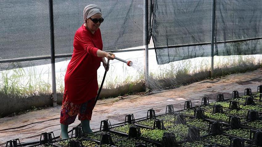 Ata tohumunun etrafında güçlerini birleştiren kadınlar hayallerini gerçekleştirdi! Kocaeli'nde üretime başladılar