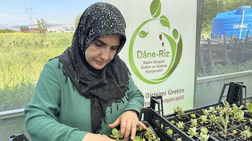 Ata tohumunun etrafında güçlerini birleştiren kadınlar hayallerini gerçekleştirdi! Kocaeli'nde üretime başladılar