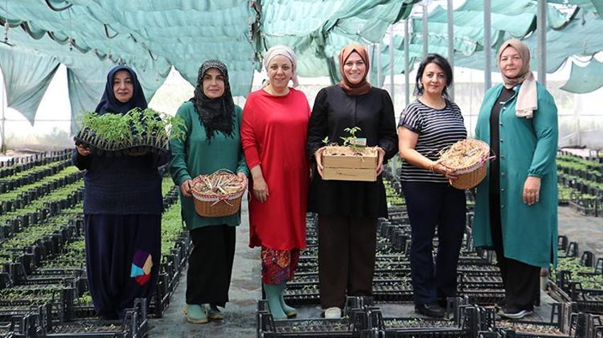 Ata tohumunun etrafında güçlerini birleştiren kadınlar hayallerini gerçekleştirdi! Kocaeli'nde üretime başladılar