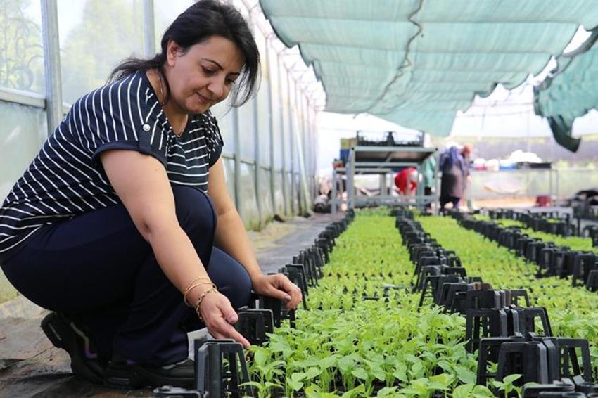 Evde otururken akıllarına geldi! 8 kadın birleşip kurdu, her gün binlerce üretiyorlar