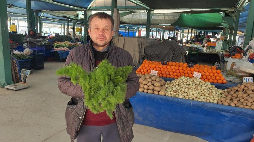 Dağda kendiliğinde yetişiyor! Sadece 1 ay çıkıyor, Sepet sepet topluyorlar, şifa deposu, tanesi 30 TL