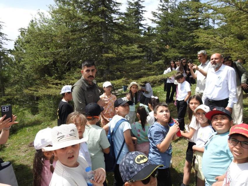 Türkiye'de sadece Manisa'da var! Yılda bir kez ortaya çıkıyor, görmek için akın ettiler