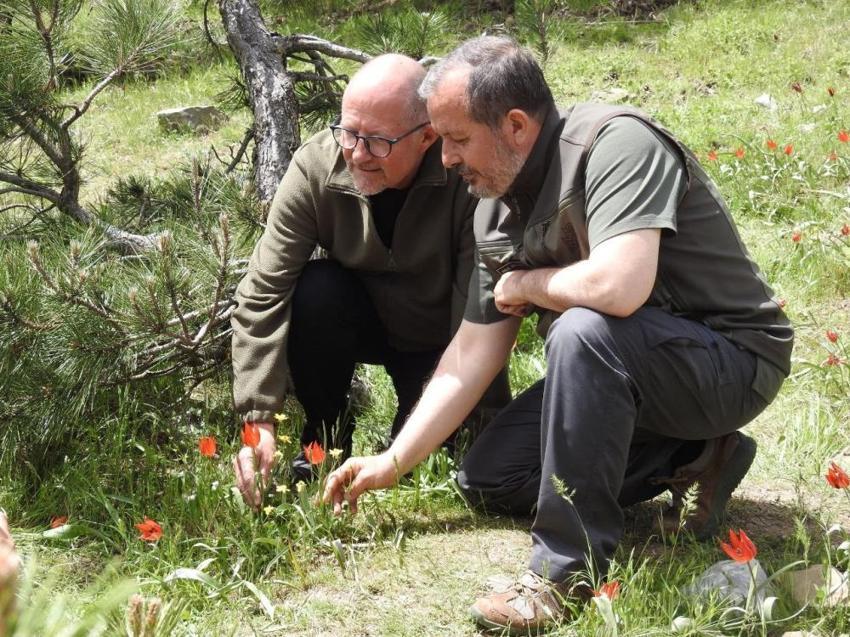 Türkiye'de sadece Manisa'da var! Yılda bir kez ortaya çıkıyor, görmek için akın ettiler