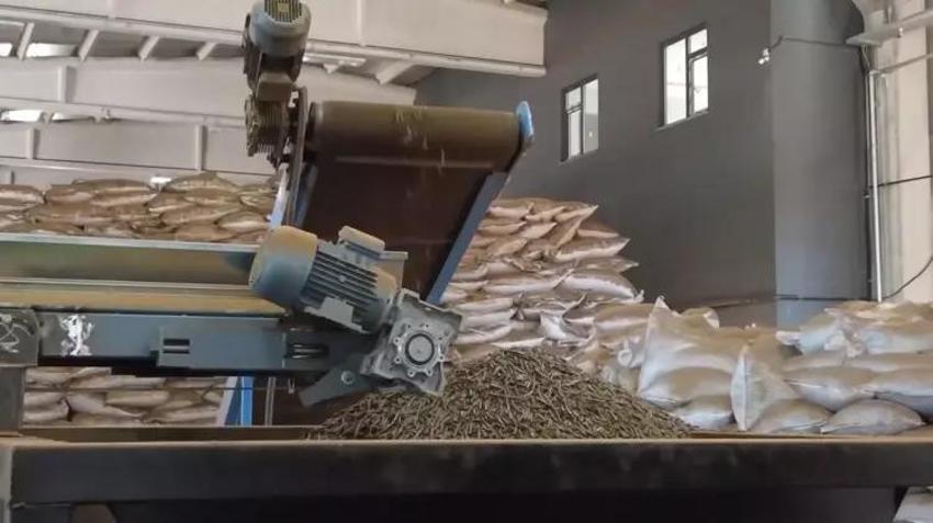 Rize'de üretip dünyaya satıyor, milyonlar kazanıyor! Çöpten 'altına' dönüşüyor, dünyada ilk...